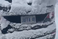 شاهد: لوحة سيارة لمواطن يافاوي في كندا تحمل اسم "JAFFA 48"
